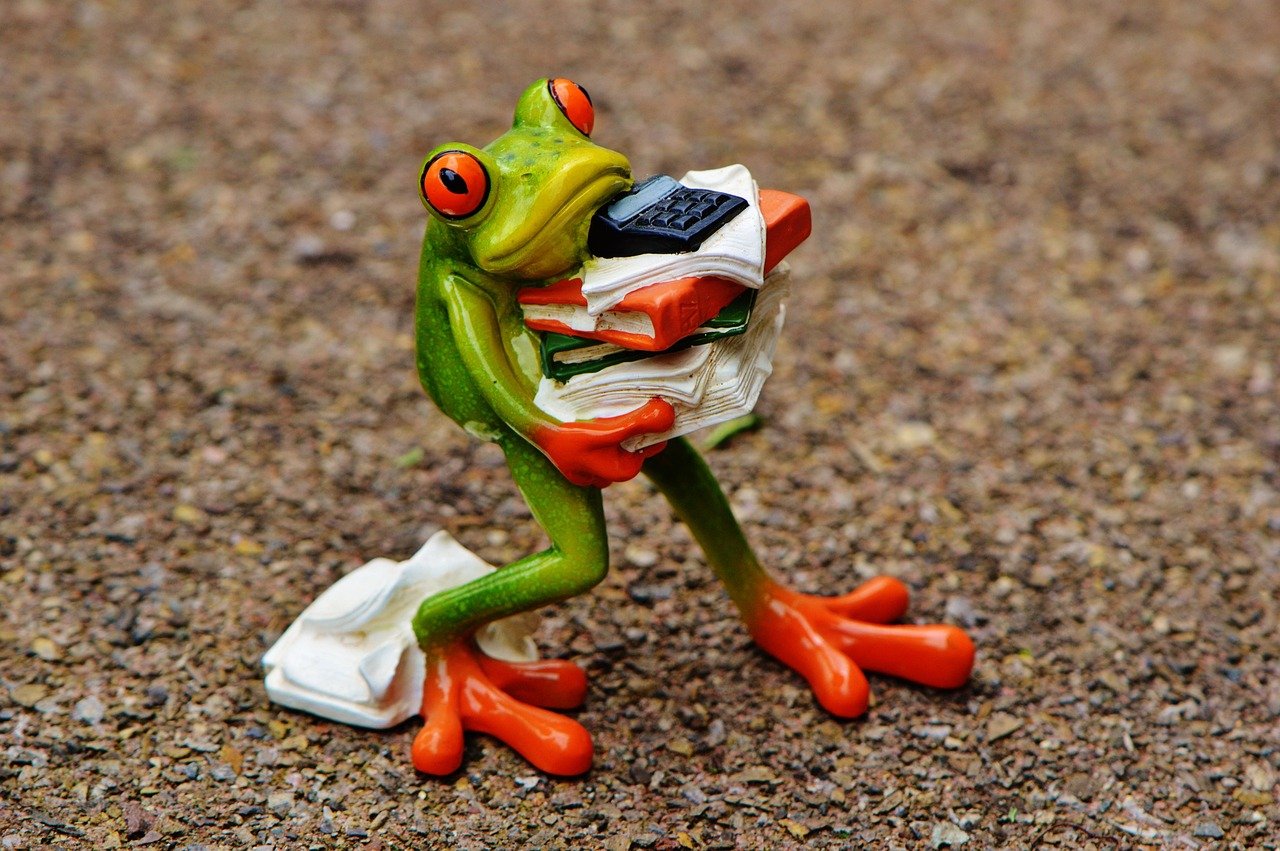 frog, figure, files, stack, pile of files, nature, office, decoration, green, animal, fun, cute, ceramic, calculator, office work, work, stress
